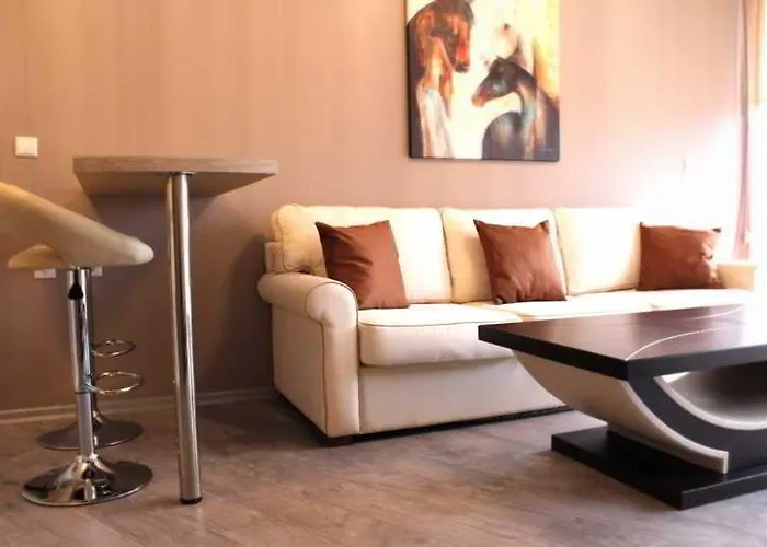 Boomerang - Sunny サニービーチ