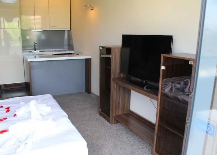 Boomerang - Sunny Hotell