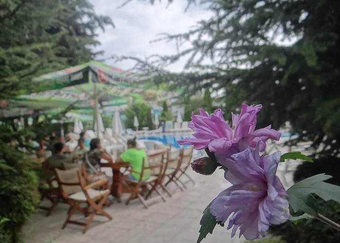 Hotell Boomerang - Sunny Slăntjev Brjag